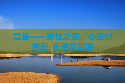 萱草——忘忧之花，心灵的慰藉-萱草花简谱