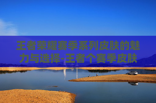 王者荣耀赛季系列皮肤的魅力与选择-王者个赛季皮肤