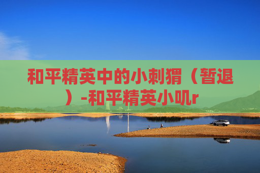 和平精英中的小刺猬（暂退）-和平精英小叽r
