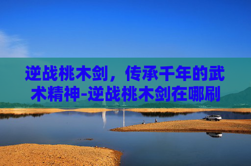 逆战桃木剑，传承千年的武术精神-逆战桃木剑在哪刷