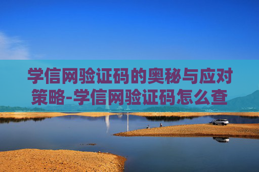 学信网验证码的奥秘与应对策略-学信网验证码怎么查询