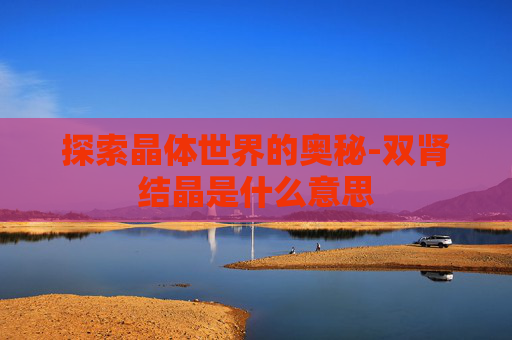 探索晶体世界的奥秘-双肾结晶是什么意思