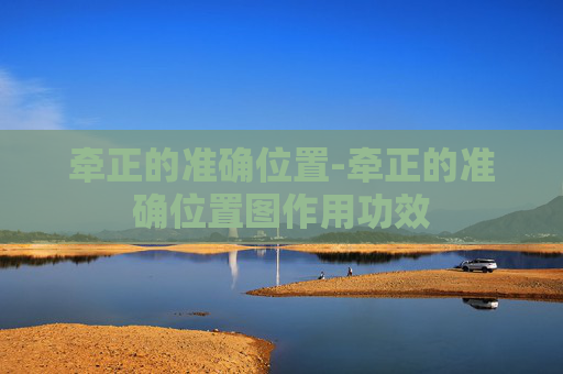 牵正的准确位置-牵正的准确位置图作用功效
