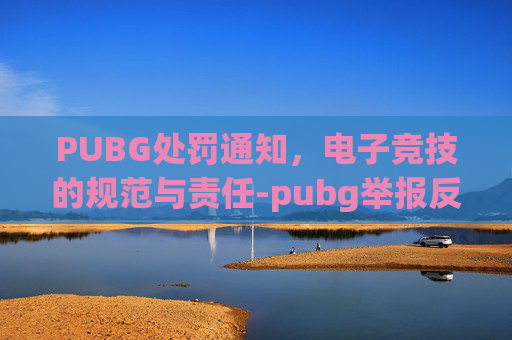 PUBG处罚通知，电子竞技的规范与责任-pubg举报反馈要多久