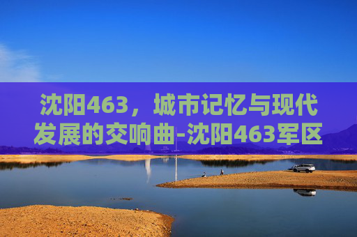 沈阳463，城市记忆与现代发展的交响曲-沈阳463军区医院耳鼻喉科