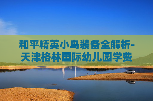 和平精英小鸟装备全解析-天津格林国际幼儿园学费