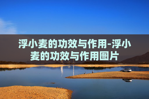 浮小麦的功效与作用-浮小麦的功效与作用图片