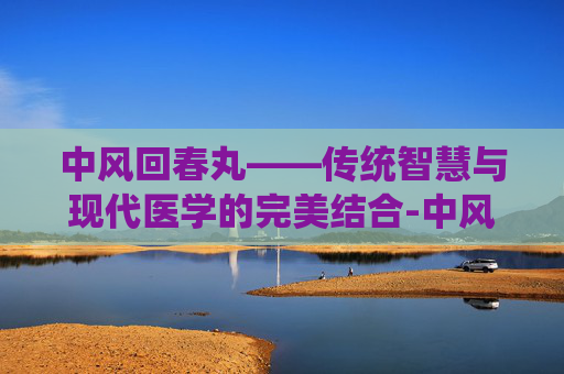 中风回春丸——传统智慧与现代医学的完美结合-中风回春丸功效作用