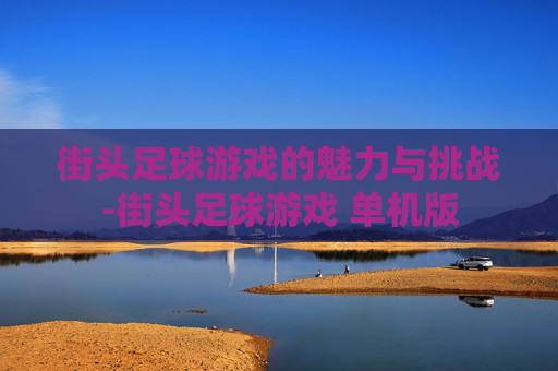 街头足球游戏的魅力与挑战-街头足球游戏 单机版