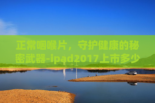 正常咽喉片，守护健康的秘密武器-ipad2017上市多少钱