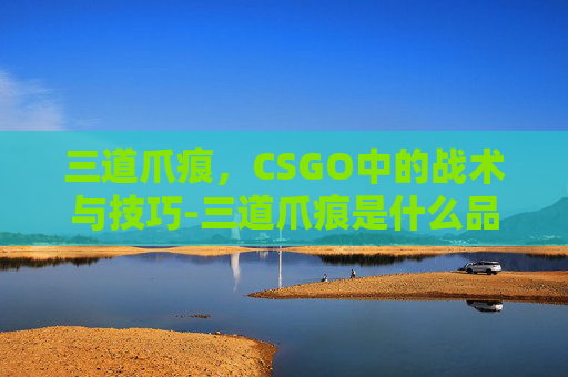 三道爪痕，CSGO中的战术与技巧-三道爪痕是什么品牌