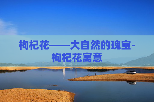 枸杞花——大自然的瑰宝-枸杞花寓意