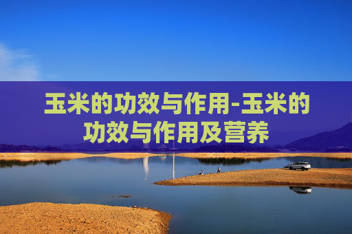 玉米的功效与作用-玉米的功效与作用及营养