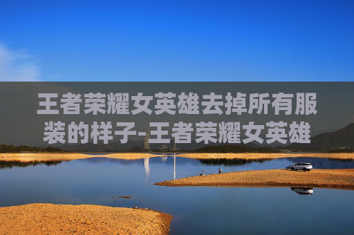 王者荣耀女英雄去掉所有服装的样子-王者荣耀女英雄去掉所有的服装标签