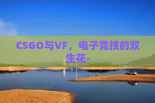 CSGO与VF，电子竞技的双生花-