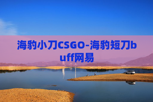 海豹小刀CSGO-海豹短刀buff网易