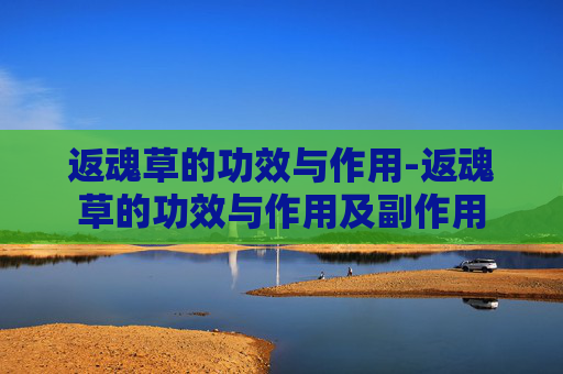 返魂草的功效与作用-返魂草的功效与作用及副作用