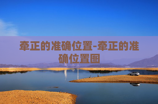 牵正的准确位置-牵正的准确位置图