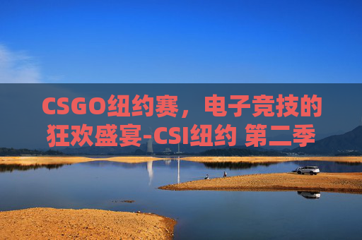 CSGO纽约赛，电子竞技的狂欢盛宴-CSI纽约 第二季新角色
