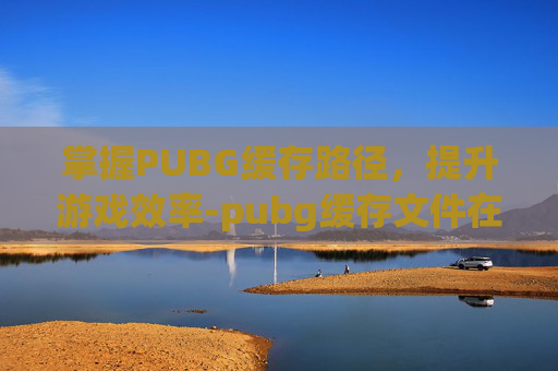 掌握PUBG缓存路径，提升游戏效率-pubg缓存文件在哪