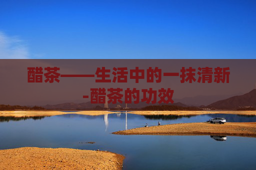醋茶——生活中的一抹清新-醋茶的功效