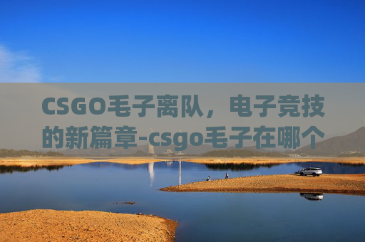 CSGO毛子离队，电子竞技的新篇章-csgo毛子在哪个队