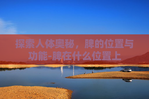 探索人体奥秘，脾的位置与功能-脾在什么位置上