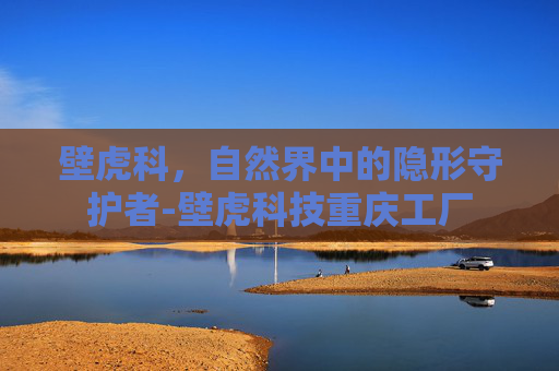 壁虎科，自然界中的隐形守护者-壁虎科技重庆工厂