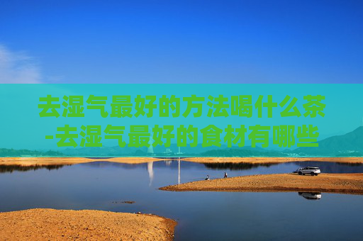 去湿气最好的方法喝什么茶-去湿气最好的食材有哪些