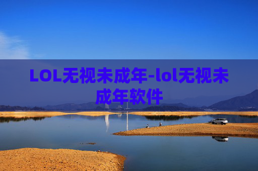 LOL无视未成年-lol无视未成年软件
