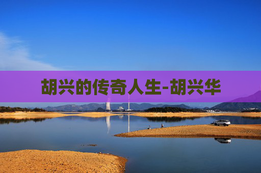 胡兴的传奇人生-胡兴华