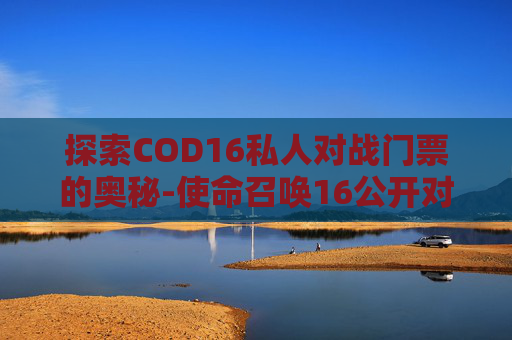 探索COD16私人对战门票的奥秘-使命召唤16公开对战是什么模式