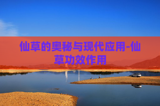仙草的奥秘与现代应用-仙草功效作用