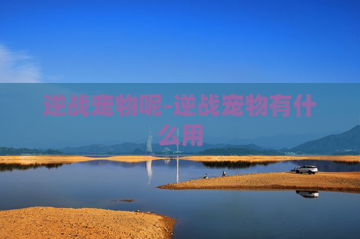 逆战宠物呢-逆战宠物有什么用