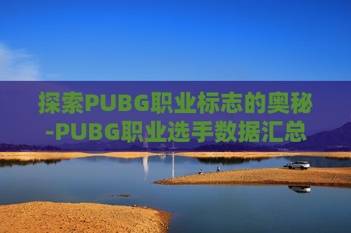 探索PUBG职业标志的奥秘-PUBG职业选手数据汇总