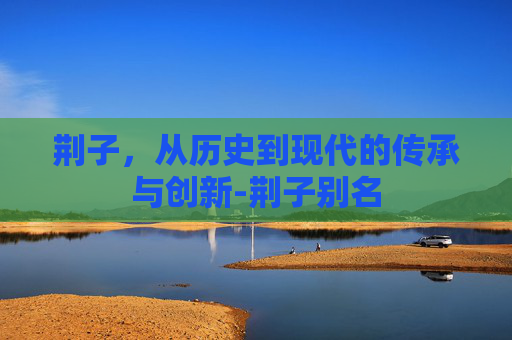 荆子，从历史到现代的传承与创新-荆子别名