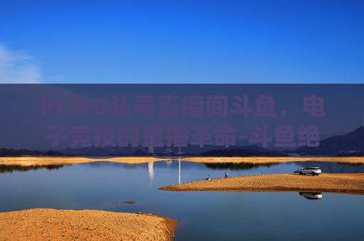 PUBG头号直播间斗鱼，电子竞技的直播革命-斗鱼绝地求生主播