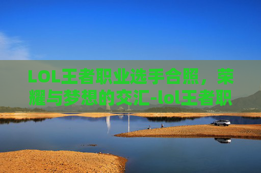 LOL王者职业选手合照，荣耀与梦想的交汇-lol王者职业选手合照怎么获得