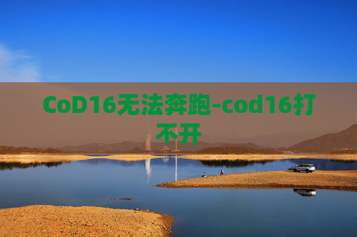 CoD16无法奔跑-cod16打不开
