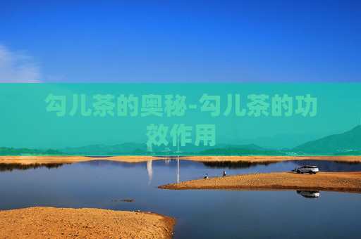 勾儿茶的奥秘-勾儿茶的功效作用 勾儿茶的奥秘-勾儿茶的功效作用