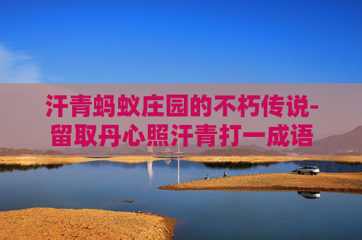 汗青蚂蚁庄园的不朽传说-留取丹心照汗青打一成语