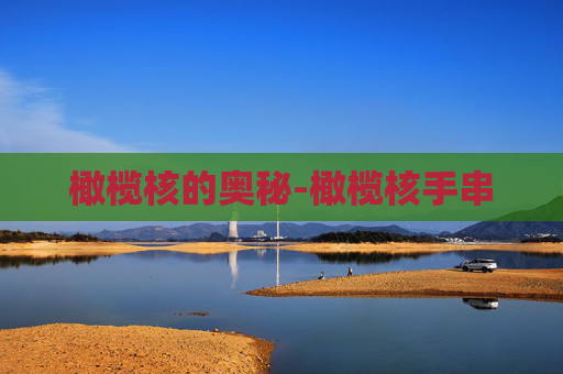 橄榄核的奥秘-橄榄核手串