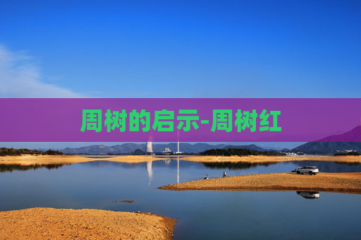 周树的启示-周树红