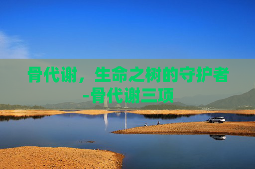 骨代谢，生命之树的守护者-骨代谢三项