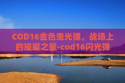 COD16金色曳光弹，战场上的璀璨之星-cod16闪光弹怎么用