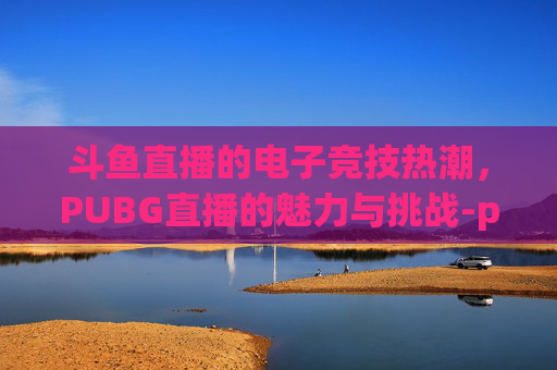 斗鱼直播的电子竞技热潮，PUBG直播的魅力与挑战-pubg斗鱼t