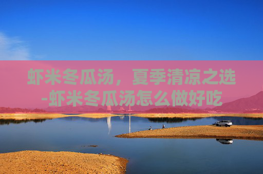 虾米冬瓜汤，夏季清凉之选-虾米冬瓜汤怎么做好吃