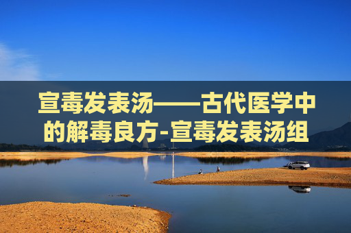 宣毒发表汤——古代医学中的解毒良方-宣毒发表汤组成