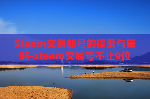 Steam交易新号的探索与策略-steam交易号不止9位
