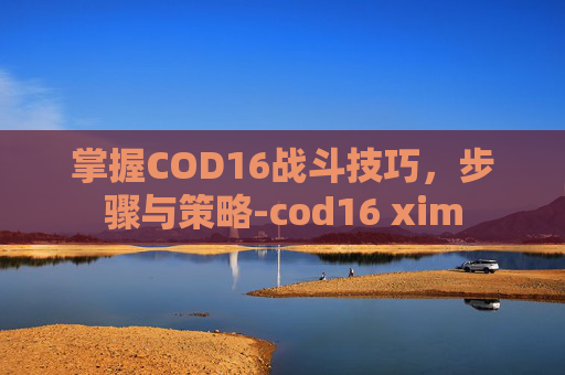 掌握COD16战斗技巧，步骤与策略-cod16 xim